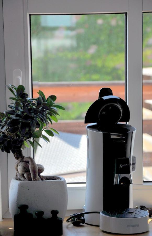 Gemuetliche Dachwohnung Mit Kleiner Oder Grosser Dachterrasse Nebeneinander Wolmirstedt Esterno foto